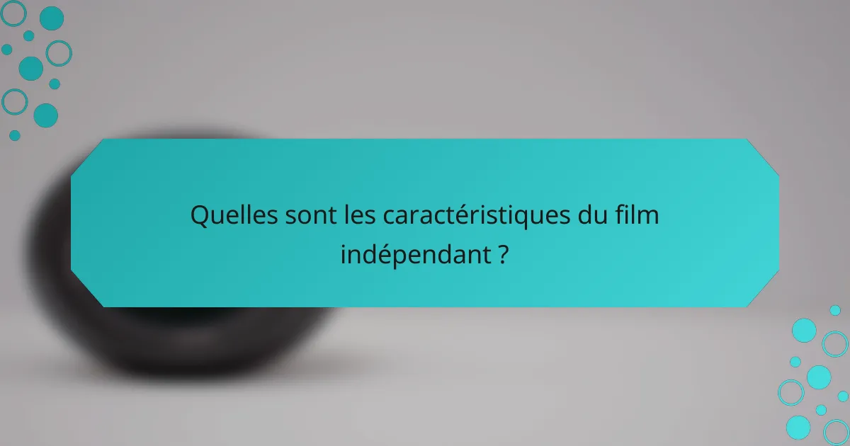 Quelles sont les caractéristiques du film indépendant ?