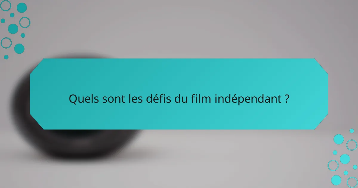 Quels sont les défis du film indépendant ?