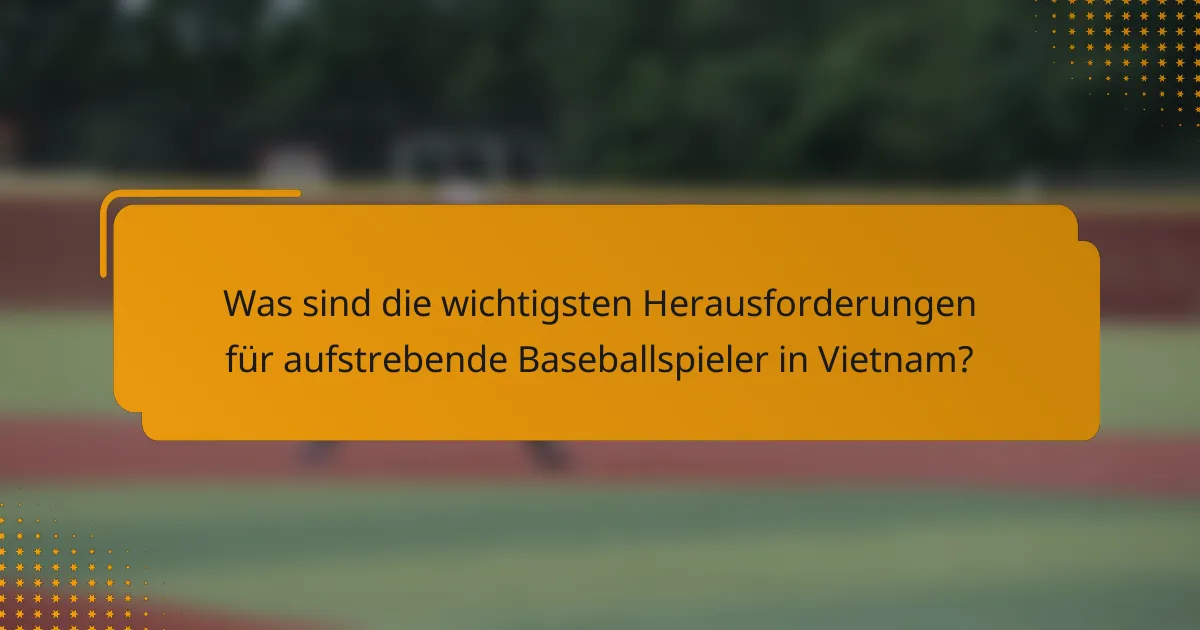 Was sind die wichtigsten Herausforderungen für aufstrebende Baseballspieler in Vietnam?